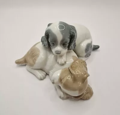 Buy NAO, Lladro, 'Twerp And Mikie' Cocker Spaniel Puppies, Playing   Wake Up  • 16£