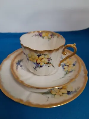 Buy Antique Scots Nautilus Porcelain HandPainted Yellow Floral Trio - Slight Damage • 21£