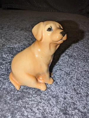 Buy John Beswick Collectors Dog Figurine - Golden Labrador Pup • 13£