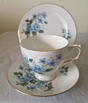 Buy Vintage Queen Anne Bone China Trio Cup Saucer Plate Blue Flowers Floral • 12.50£