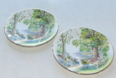 Buy Shelley Fine China Pattern 13348 Woodland  2 X Side Plates 15.5cm • 10£