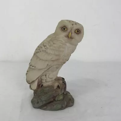 Buy Aynsley Vintage 7  Ceramic Owl Figurine  Snowy Owl  • 10£
