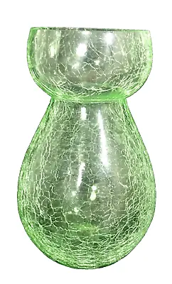 Buy Vintage Light Green Crackle Glass Hyacinth Or Plant Sprouting Container Vase • 19.29£