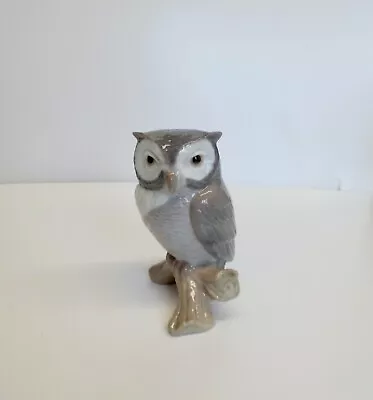 Buy Lladro Lucky Owl Figurine Bird Ornament 01008035 • 30£