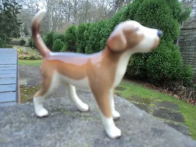 Buy Vintage W.r.midwinter, England Gloss Foxhound/beagle Dog - Mint Condition (rare) • 14.99£