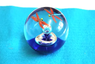 Buy Small Glass Dragonflies Paperweight (4950) • 7.50£