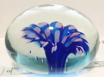 Buy Isle Of Wight Glass Blue Pink White Floral Style Paperweight & Original Label  • 14.99£