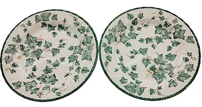 Buy 10  Set Of 2 Royal Stafford Fine Earthenware Country Vine Pattern Plates  • 14.20£