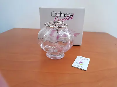 Buy Caithness Scottish Scotland Pink Swirl Art Glass Rose Bowl - 5  BOXED • 4.99£