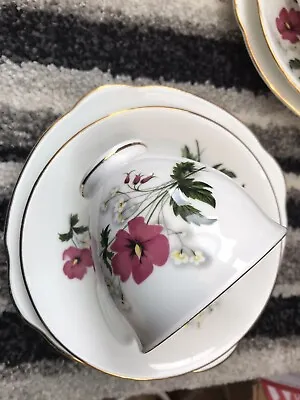 Buy Vintage Duchess Fine Bone China Tea Cup Saucer Plate Spring Flowers Pattern 329 • 4.49£
