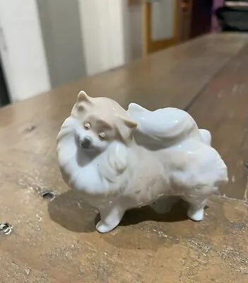 Buy Lladro Pomeranian Dog Porcelain Figurine 01045029 - Excellent Condition • 20£