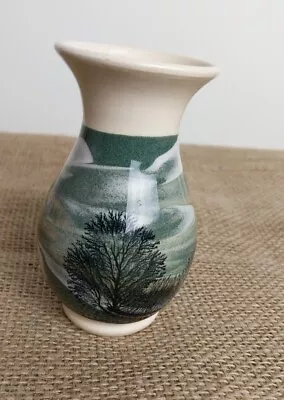 Buy Boscastle Pottery Vase By Roger Irving Little • 12.99£