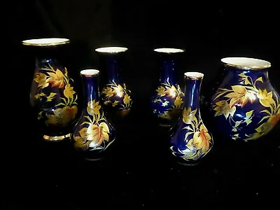 Buy Royal Bavarian Porcelain KPM 6 Vases With Colourful Flowers Leaves Cobalt Blue • 45£