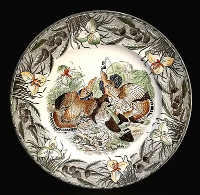 Buy The Birds Of America Adams China Ruffled Grouse Dinner Decorative Plate • 57.54£