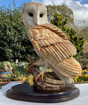 Buy Huge Country Artists - Barn Owl - Evening Solitude By David Ivy - 42cm High • 38.99£