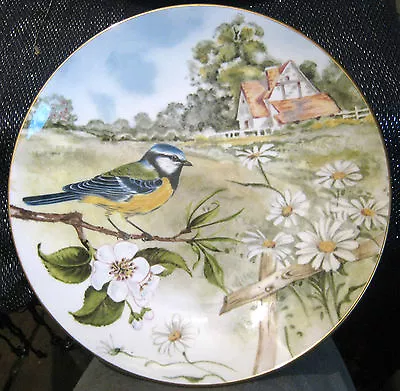 Buy Lovely Decorative Plate Showing A Blue Tit Bird Staffordshire Bone China 7.75ins • 8.99£