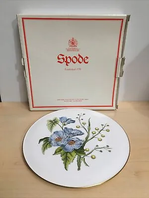 Buy Spode Cake Stand Gateau Serving Plate ~ Fine Bone China ~ 28cm Diameter • 15£