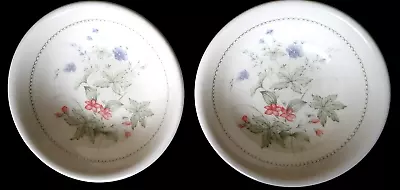 Buy Biltons England Red Blue Flowers Green Leaves 6½ Inch Bowls X2 C1960+ ( 3 Ava) • 10.99£