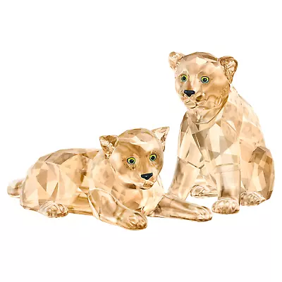 Buy Swarovski Crystal Adorable  Amur Leopard Cubs  5428542 Retired Scs 2019 Freepost • 200£