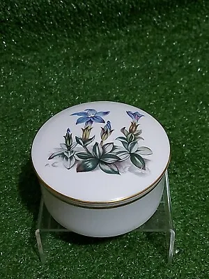 Buy Royal Worcester Fine Bone China Trinket Pot &  Lid Vintage Retro Blue Flower C51 • 9.99£