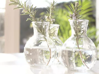 Buy French Glass Bud Vase Pot Milk Bottle Wedding Decor Home Christmas Vintage Party • 2.95£
