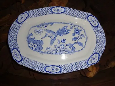 Buy British Anchor Pottery Small Platter Exotic Bird Circa 1890 Blue & White • 24.99£