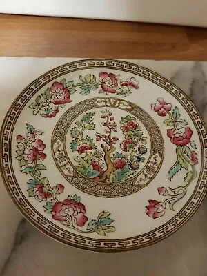 Buy Anchor China England Indian Tree Design  Saucer/Plate 16 Cm  • 8£