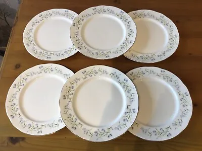 Buy Set Of 6 X Duchess Bone China - HAREBELL 571 Floral Patterned Dinner Plates • 21.99£