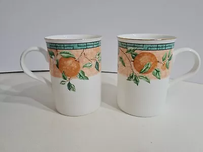 Buy Donegal Parian China The Gallery Collection2 Piece Mug Set Orange Tree New Boxed • 18.99£
