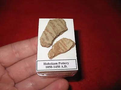 Buy Hohokam Extinct Tribe Indian Pottery Shard 800 Yrs Old Arizona Display Case #3 • 10£