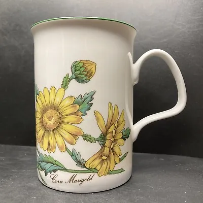 Buy Vintage Roy Kirkham Corn Marigold Botanical Flowers Fine Bone China Mug England  • 19.90£