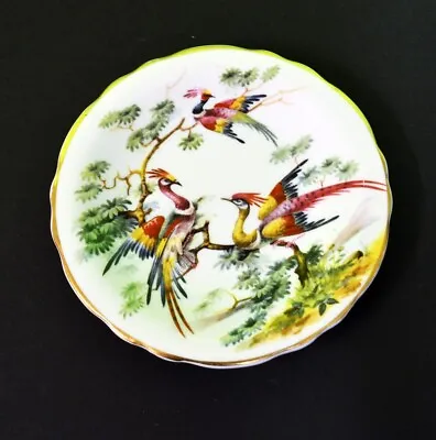 Buy Vintage Royal Grafton Fine Bone China Birds Of Paradise Saucer Made In England • 12.95£