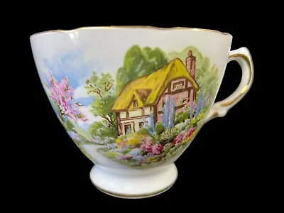 Buy Ridgway Potteries ROYAL VALE 7382 Fine Bone China Tea Cup Cottage Scene VGC • 9.95£