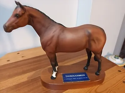 Buy Beswick Connoisseur Racehorse 'Thoroughbred Stallion' Large Model No 1772 • 55£