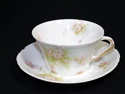 Buy THEODORE HAVILAND LIMOGES FRANCE Schleiger 609B Cup And Saucer Set Pink Floral • 16.26£