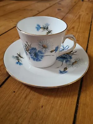 Buy Elizabethan Vintage Fine Bone China Blue Floral Cup & Side Plate Staffordshire • 9.99£