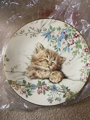 Buy Royal Worcester Crown Ware CAT NAP - KITTEN CLASSICS Cat Collectors Plate • 5£
