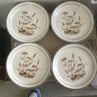 Buy Arklow Ireland Plates Set Of 4 Honey Stone Wheat Field Dinner Plates 22.5cm • 17.99£