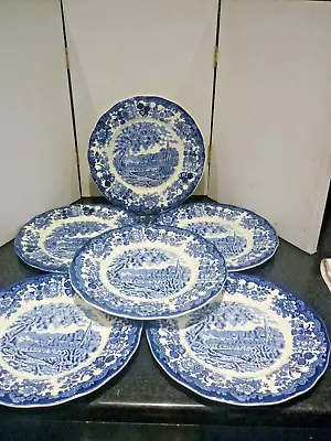 Buy Royal Worcester Palissy 6x Dinner Plates 10  • 75£