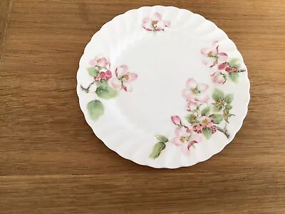 Buy Wedgewood Side Plate 7” / 17cm Dia   Apple Blossom Pattern • 3£