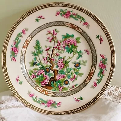 Buy Crown Ducal AGR Indian Tree Pattern Plate 10   Very Good Condition • 9.99£