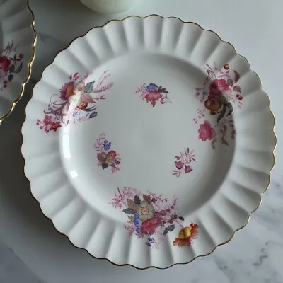 Buy Spode Copeland’s China England Dinner Plate 10.5 Inches 1904-1954 Great Conditio • 23£
