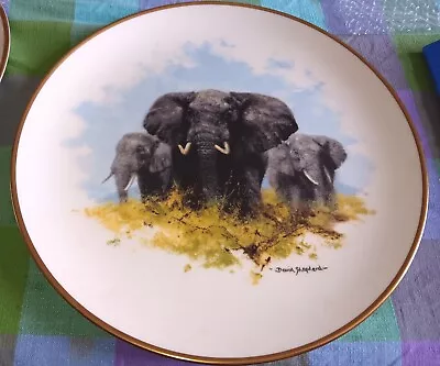 Buy Wedgwood David Shepherd Elephant Plate 27cm • 10£