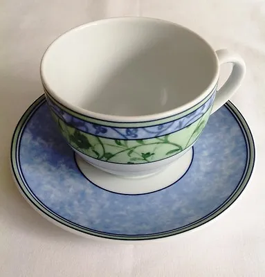Buy Wedgwood Home Watercolour CUP AND SAUCER Fine Porcelain DW MW OVEN Safe  • 4.99£