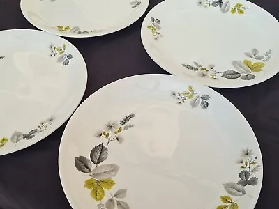 Buy Vintage Alfred Meakin Delamere Design 25.5cm Glo-White Dinner Plates X 4 • 10£