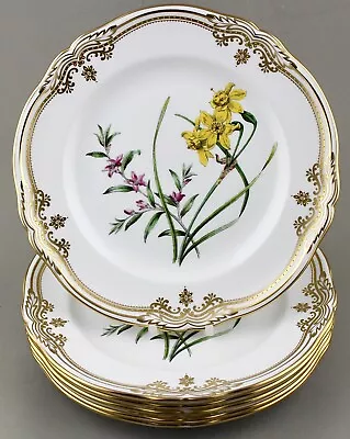 Buy Spode China England Stafford Flowers  23.75cm 9⅜” Luncheon Plates X 6 1st Mint! • 595£