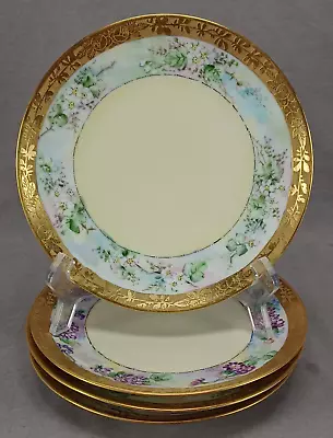 Buy Set Of 4 Thomas Bavaria Hand Painted Floral & Encrusted Gold Border Plates • 81.02£