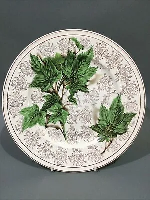 Buy Vintage Portland Pottery Cobridge Ivy Decorated Plate • 8.95£