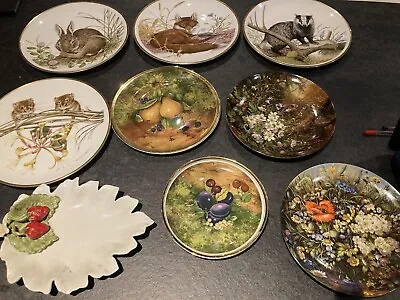 Buy  Collection Of 9 China Plates Including Bassimo, Furstenburg And Wedgewood. • 0.99£