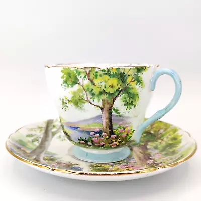 Buy Shelley Tea Cup & Saucer Woodland New Cambridge Shape Fine Bone China 13348 • 24.07£